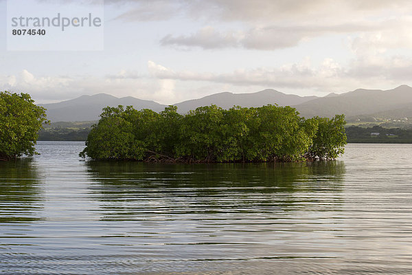 sehen Ozean Guadeloupe