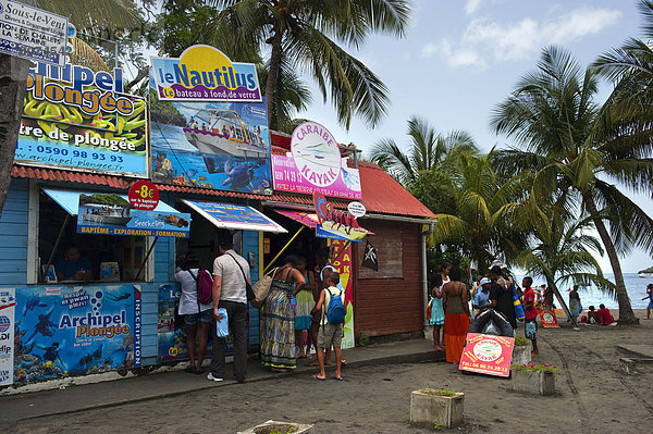 nehmen Strand Schutz Tourist Boot in die Augen sehen ansehen Angesicht zu Angesicht gegenüber Wildtaube Insel Anzahl Guadeloupe