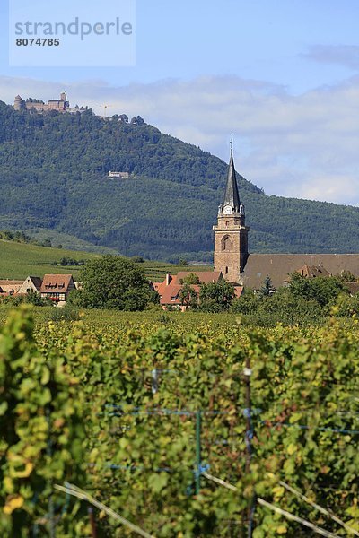 Bergheim (68)  small wine village  and Chateau du Haut-K_ìnigsbourg.
