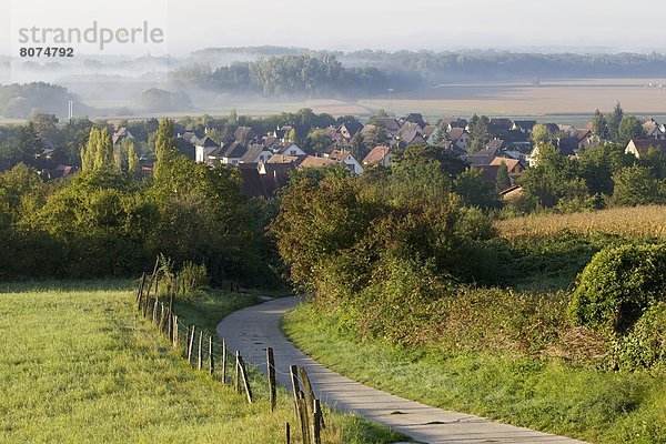 klar  Dunst  unterhalb  Dorf  Elsass  September