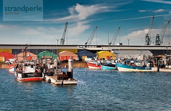 Farbaufnahme Farbe Hafen Fisch Pisces Frankreich Gebäude Produktion angeln 4 Köchin alt Jahr