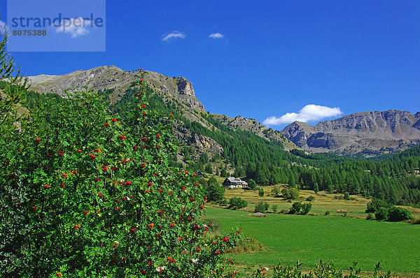 Landschaft  sehen  klein  Stadt  Dorf  sprechen  Geographie  Var