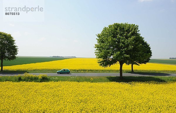 Feuerwehr  Ländliches Motiv  ländliche Motive  Feld  Baum  Landschaft  über  Ansicht  Luftbild  Fernsehantenne  gepflegt  Marne