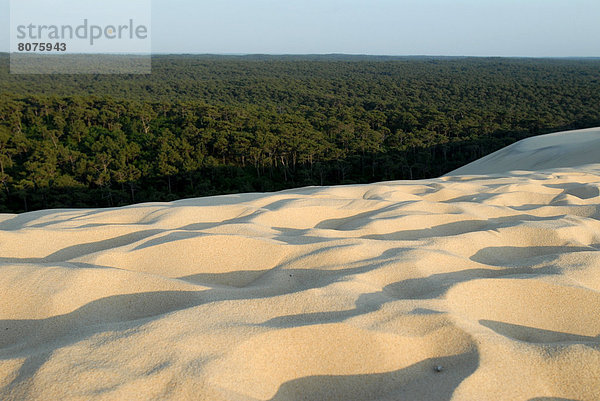 Europa  Landschaft  Düne  herzförmig  Herz  Geographie  Arcachon  Bucht