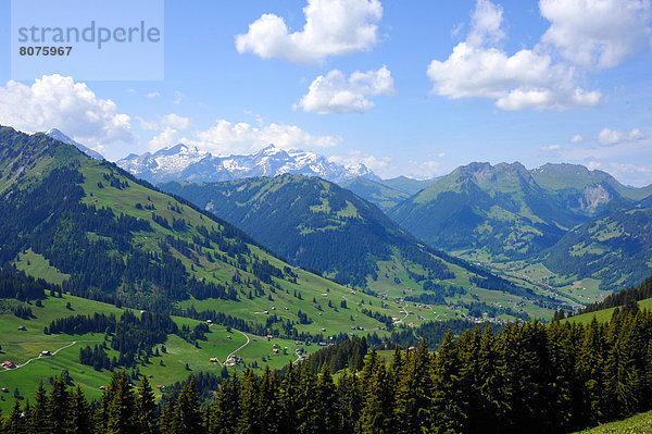 hoch  oben  Berg  Wiese  schweizerisch