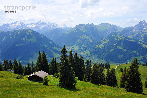 hoch  oben  Berg  Wiese  schweizerisch