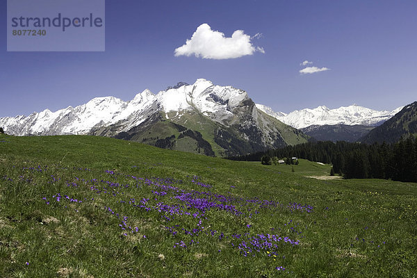 Berg  Hintergrund  links  rechts