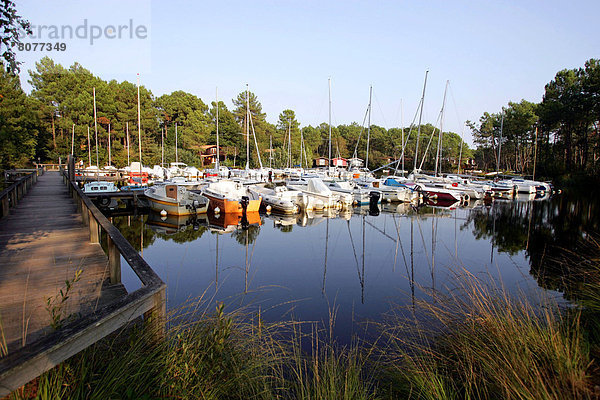 Segeln Ecke Ecken Verletzung der Privatsphäre Gebäude Wald Boot Urlaub Segelboot Aquitanien