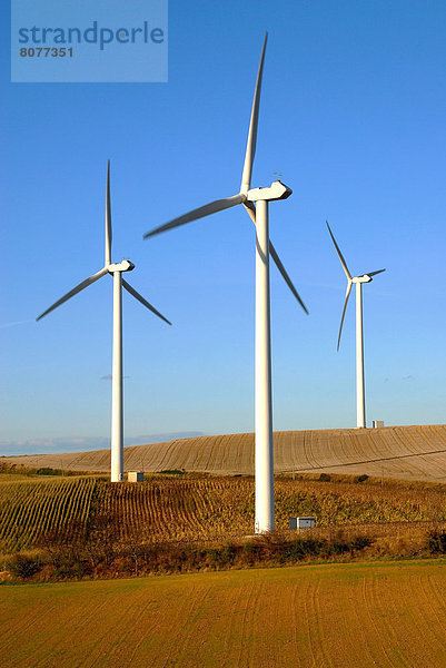 Erneuerbare Energie Alternative Energie Alternativenergie Tag Umwelt Wind Aktion Erfolg Bauernhof Hof Höfe Zimmer Windpark Windmühle Elektrizität Strom Ende Turbine