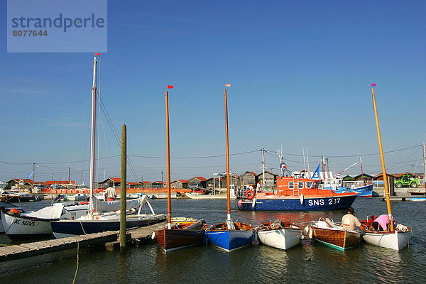 Hafen  Motorjacht  französisch  Großbritannien  frontal  Schiff  Ähnlichkeit  Aquitanien  Gironde