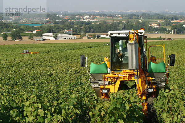 Landwirtschaft  ernten  Tagesausflug  Hintergrund  Weintraube  Ansicht  Zimmer  Nantes  Landwirtschaftliche Maschine  Bretagne