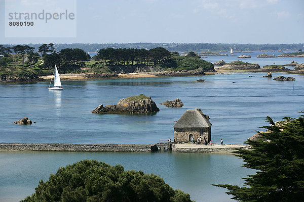 Entdeckung  Landschaft  Mühle  Tretboot  Natur  Hintergrund  Insel  Ansicht  Bretagne