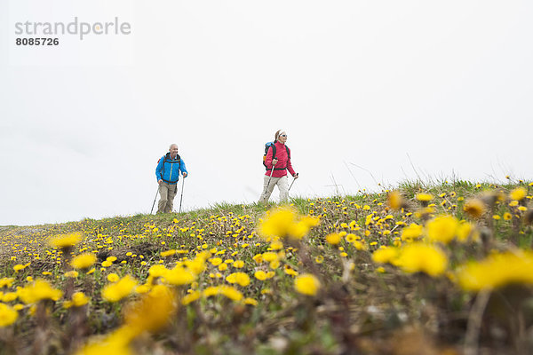 Paar beim Wandern  Neunerköpfle  Allgäuer Alpen  Tannheimer Tal  Tirol  Österreich  Europa