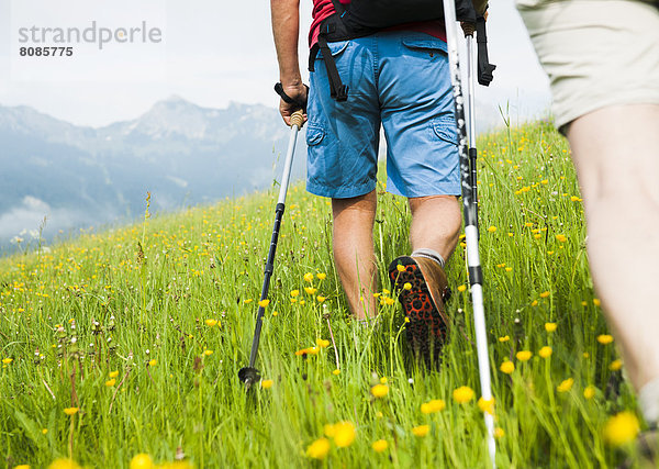 Paar beim Wandern  Neunerköpfle  Allgäuer Alpen  Tannheimer Tal  Tirol  Österreich  Europa