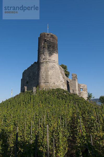 Burg Landshut  Bernkastel-Kues  Rheinland-Pfalz  Deutschland  Europa