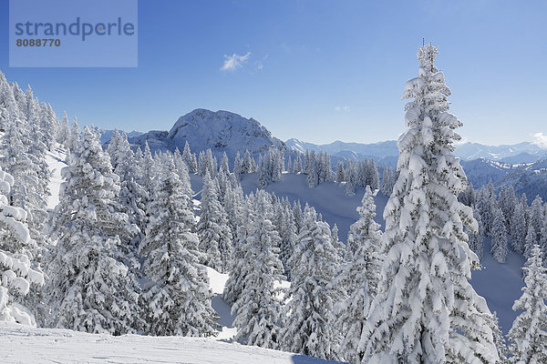 Hoher Straußberg  vom Tegelberg aus gesehen