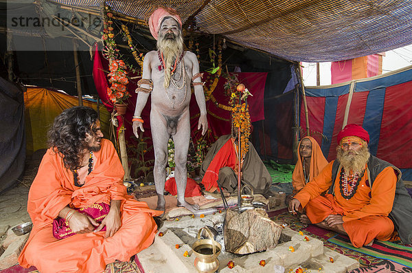 Shiva Sadhu  heiliger Mann  mit weiteren Sadhus in seinem Zelt am Sangam  dem Zusammenfluss von Ganges  Yamuna und Saraswati  während der Kumbh Mela