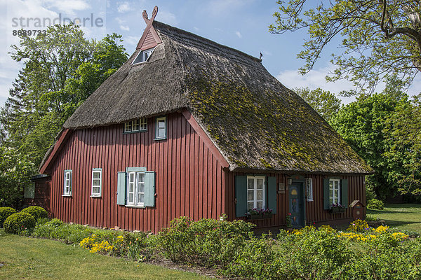 Reetdach Blockhaus Holzhaus