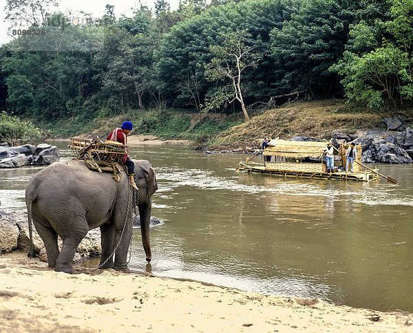 Elefantenführer auf Elefant am Kok-River  hinten ein Bambusfloss
