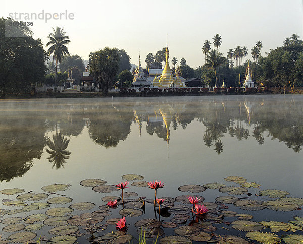 Chedis des Wat Chong Kham und Wat Chong Klang spiegeln sich im See Nong Jong Kham  Lotusblüten  Lotus-Teich