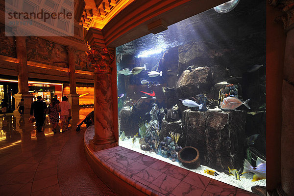 Aquarium  Forumshops  Luxushotel  Casino  Caesars Palace