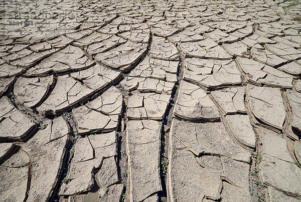 Rissiger Boden in einem ausgetrockneten Wasserloch  Hopi Reservation  Navajo Nation Reservation