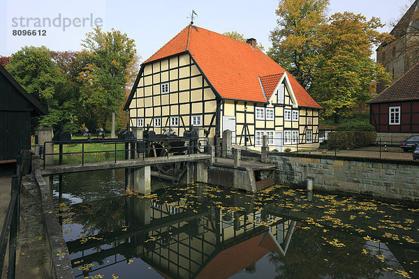 Wassermühle  bei Schloss Rheda  Rheda-Wiedenbrück  Nordrhein-Westfalen  Deutschland  Europa