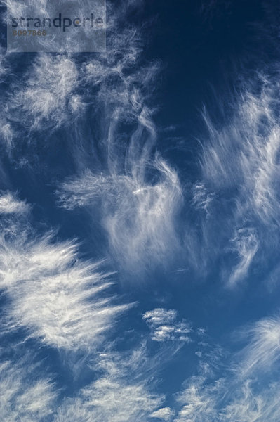 Blauer Himmel mit Cirruswolken