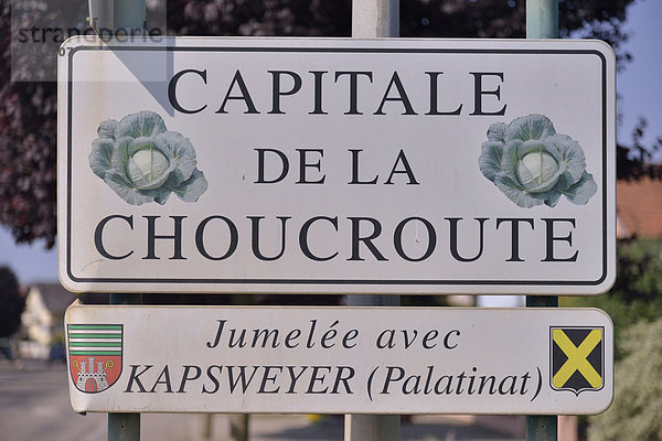 Schild Capitale de la Choucroute  Hauptstadt des Sauerkrauts  am Ortseingang von Krautergersheim