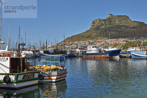 Hafen von Hout Bay  Kapstadt  Westkap  Südafrika  Afrika