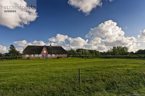 Europa Deutschland Morsum Schleswig-Holstein Sylt