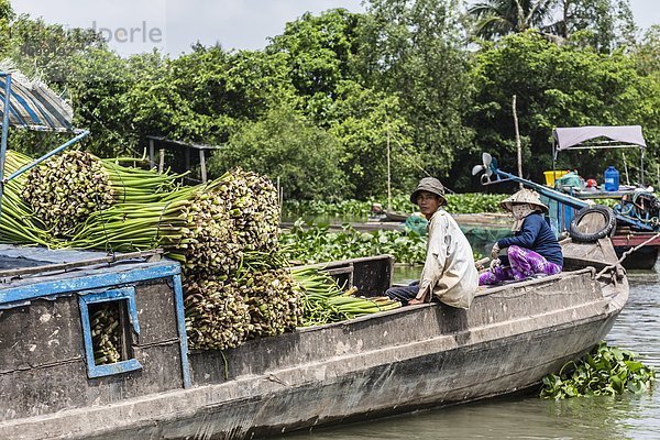 Hyazinthe  hyacinthus orientalis  Wasser  sammeln  Insel  Südostasien  Vietnam  Asien