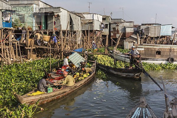 Frische  Arzt  ankommen  Produktion  Südostasien  Vietnam  Asien  Markt