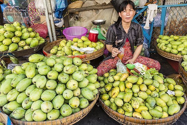 Frische  Arzt  Produktion  verkaufen  Südostasien  Vietnam  Asien  Markt