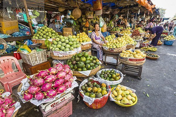 Frische  Arzt  Produktion  verkaufen  Südostasien  Vietnam  Asien  Markt