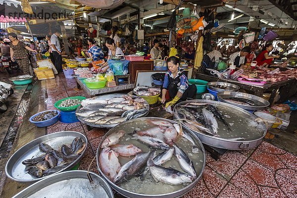 Frische  Arzt  Speisefisch und Meeresfrucht  verkaufen  Südostasien  Vietnam  Asien  Markt