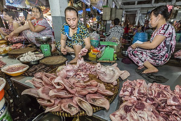 Frische  Arzt  verkaufen  Südostasien  Vietnam  Asien  Markt