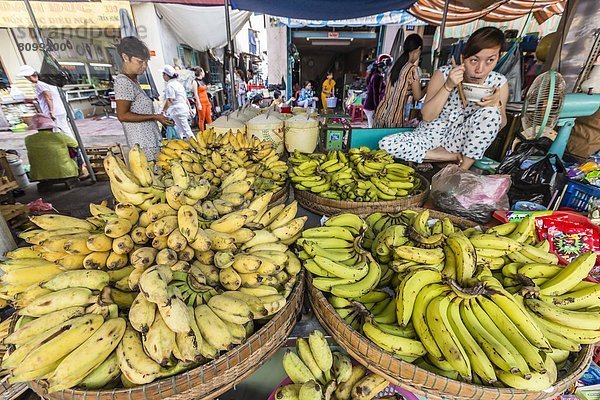 Frische  Arzt  Produktion  verkaufen  Südostasien  Vietnam  Asien  Markt