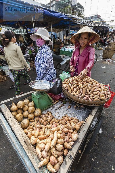 Frische  Arzt  Produktion  verkaufen  Südostasien  Vietnam  Asien  Markt