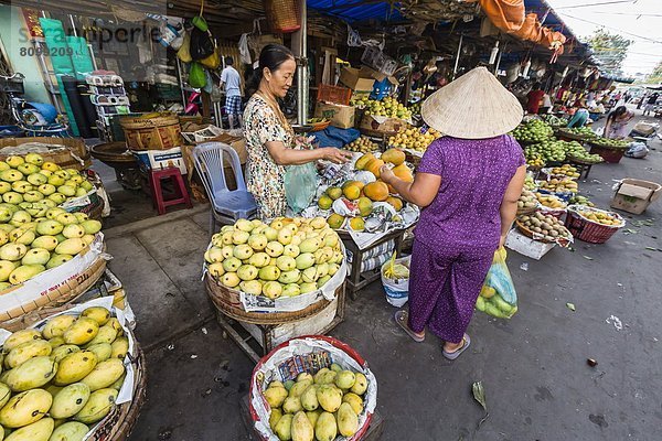 Frische  Arzt  Produktion  verkaufen  Südostasien  Vietnam  Asien  Markt