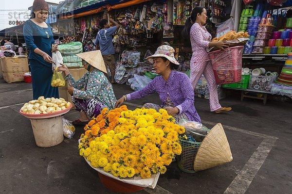 Frische  Blume  Arzt  verkaufen  Südostasien  Vietnam  Asien  Markt