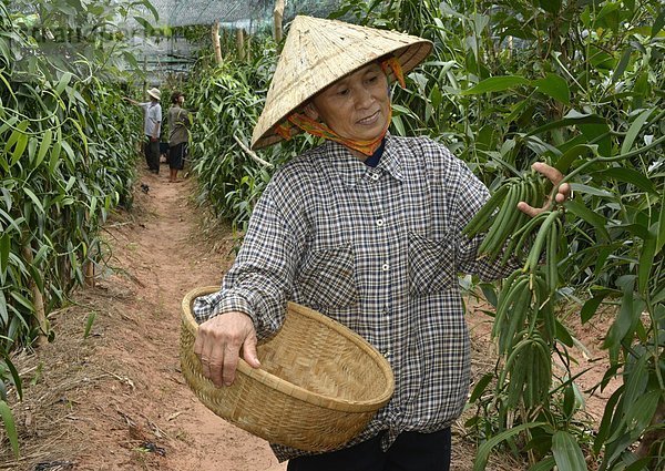 Südostasien  Vietnam  Asien