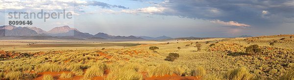 Panorama  Abend  baden  Beleuchtung  Licht  Landschaft  über  Ehrfurcht  Wüste  Ansicht  Namibia  Namib Naukluft Nationalpark  Namib  Reservat  Afrika