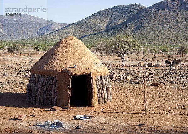 bedecken  Tradition  Gebäude  Dorf  Namibia  entfernt  Geographie  Afrika  Kunene  Schlamm  Norden