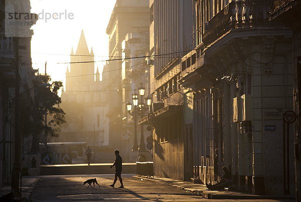 Havanna  Hauptstadt  Gegenlicht  Mensch  Menschen  Silhouette  Straße  Morgendämmerung  Westindische Inseln  Mittelamerika  Kuba