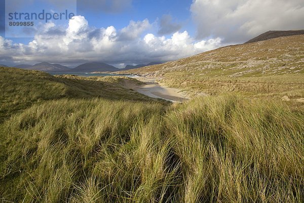 entfernt  Strand  blasen  bläst  blasend  Hügel  Düne  Fokus auf den Vordergrund  Fokus auf dem Vordergrund  Wiese  Norden  Schottland