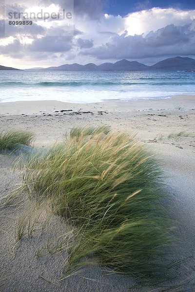 entfernt  Strand  blasen  bläst  blasend  Hügel  Düne  Fokus auf den Vordergrund  Fokus auf dem Vordergrund  Wiese  Norden  Schottland