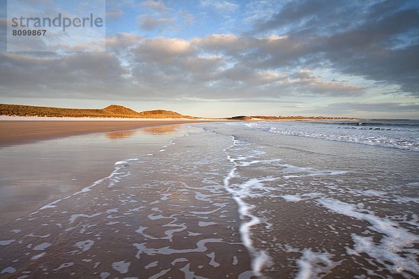 hoch  oben  niedrig  Europa  sehen  Strand  waschen  Großbritannien  Sonnenaufgang  Anmut  Sand  Fokus auf den Vordergrund  Fokus auf dem Vordergrund  Düne  Sonnenlicht  Bucht  England  Northumberland