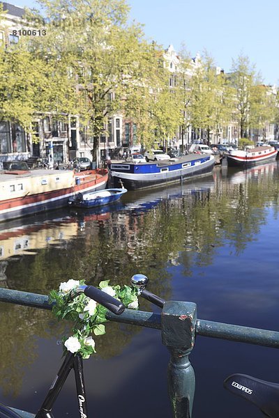 Amsterdam  Hauptstadt  Europa  Blume  Dekoration  Fahrrad  Rad  Niederlande