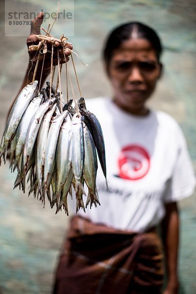 Fisch  Pisces  verkaufen  Südostasien  Asien  Indonesien  alt